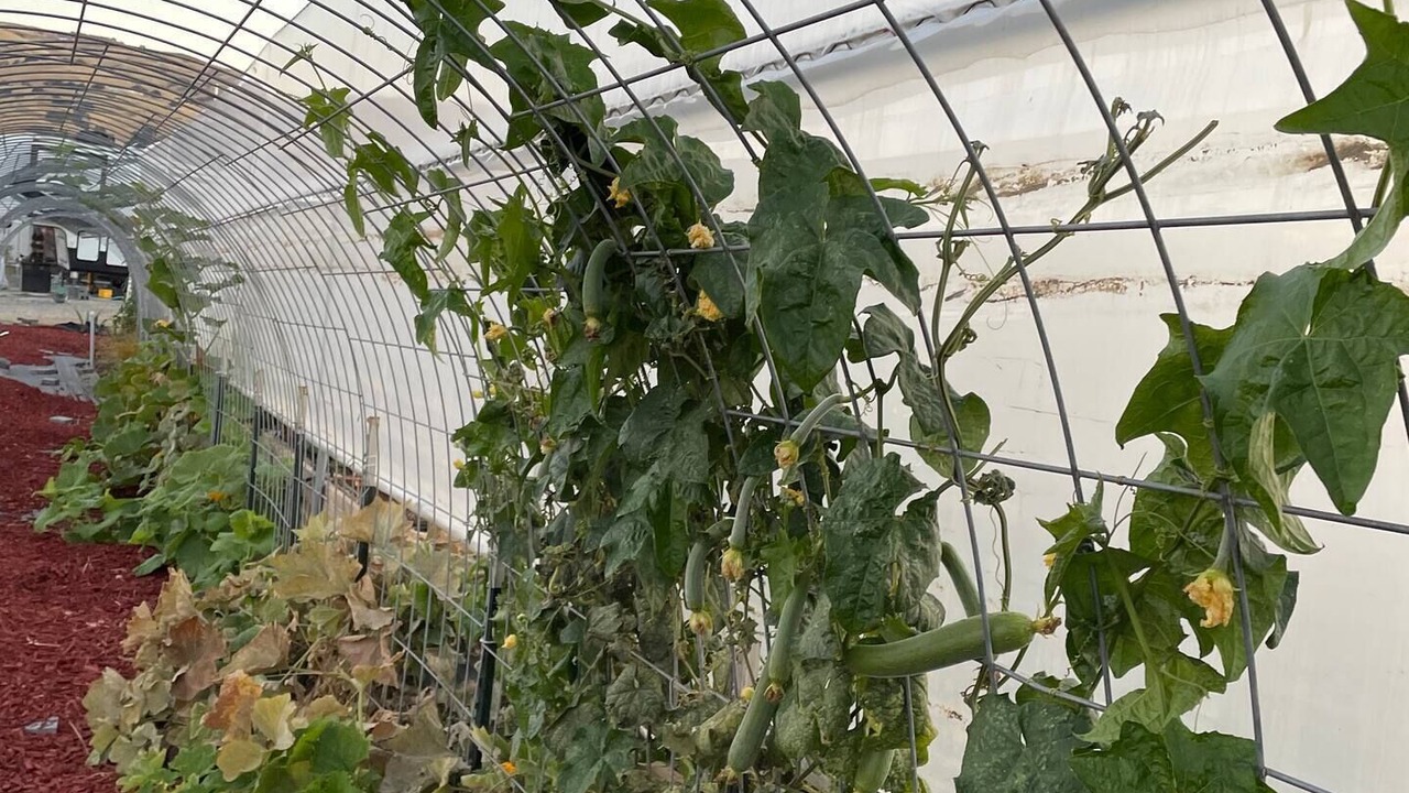 Photo of Outdoor in Hollister