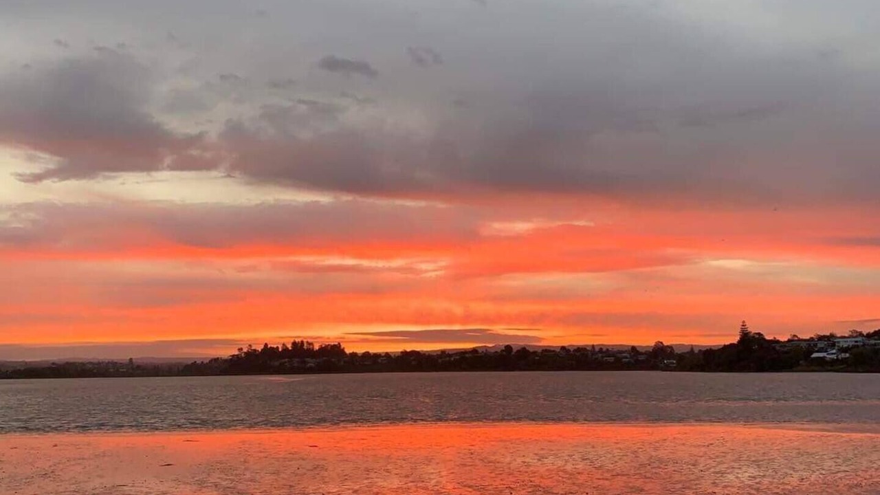 Photo of Others in Tauranga South