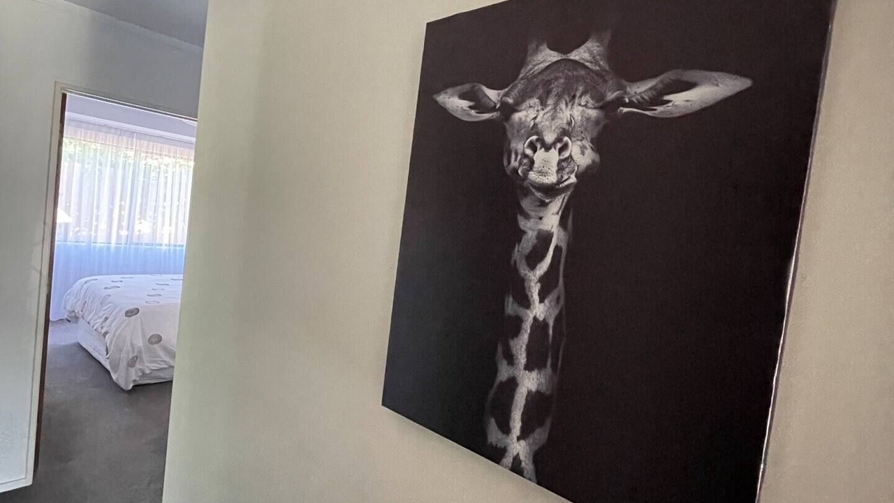 Photo of Others in Tauranga South