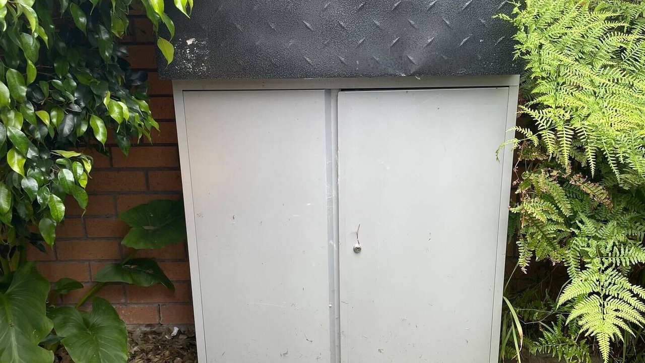 Photo of Outdoor in Tauranga South