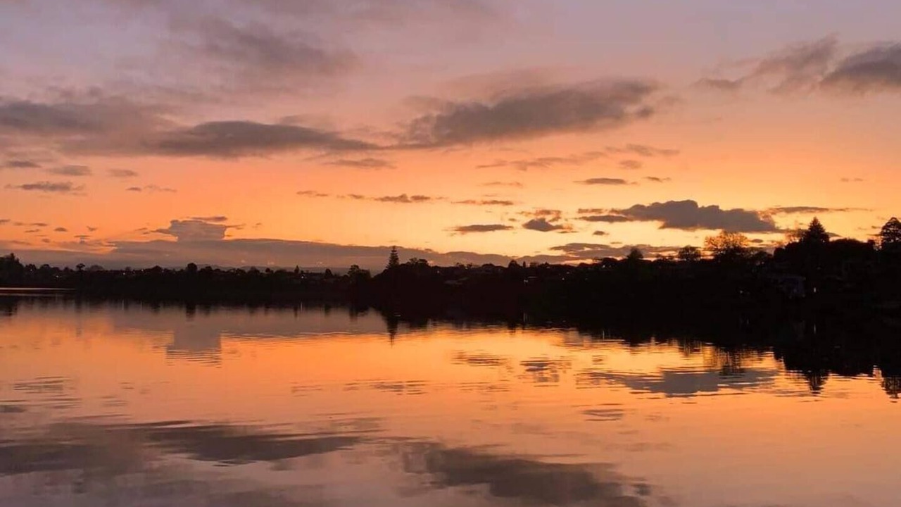 Photo of Others in Tauranga South