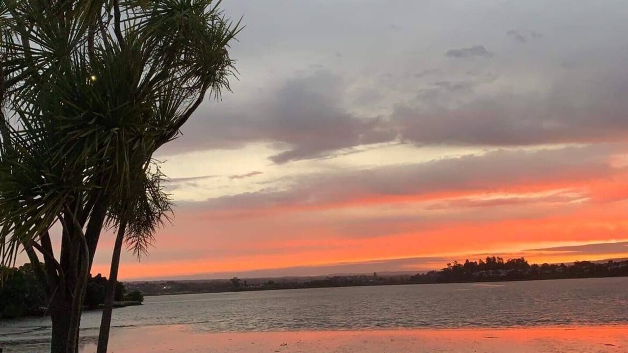 Photo of Others in Tauranga South