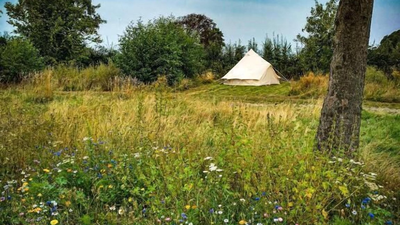 Photo of Outdoor in Langeland Municipality