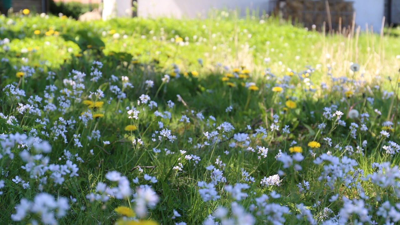 Photo of Outdoor in Langeland Municipality
