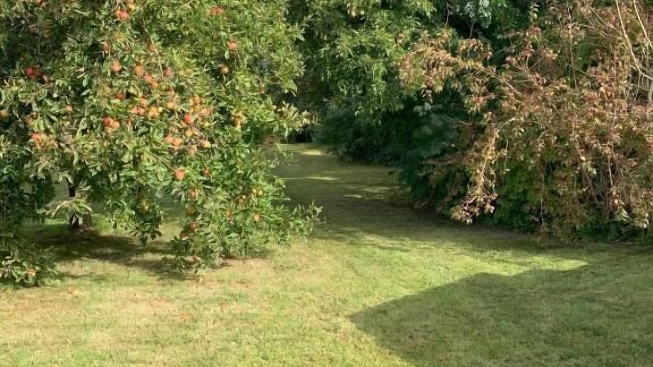 Photo of Outdoor in Hejls