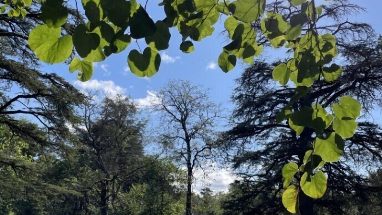 Photo of Outdoor in Toulouse South-East