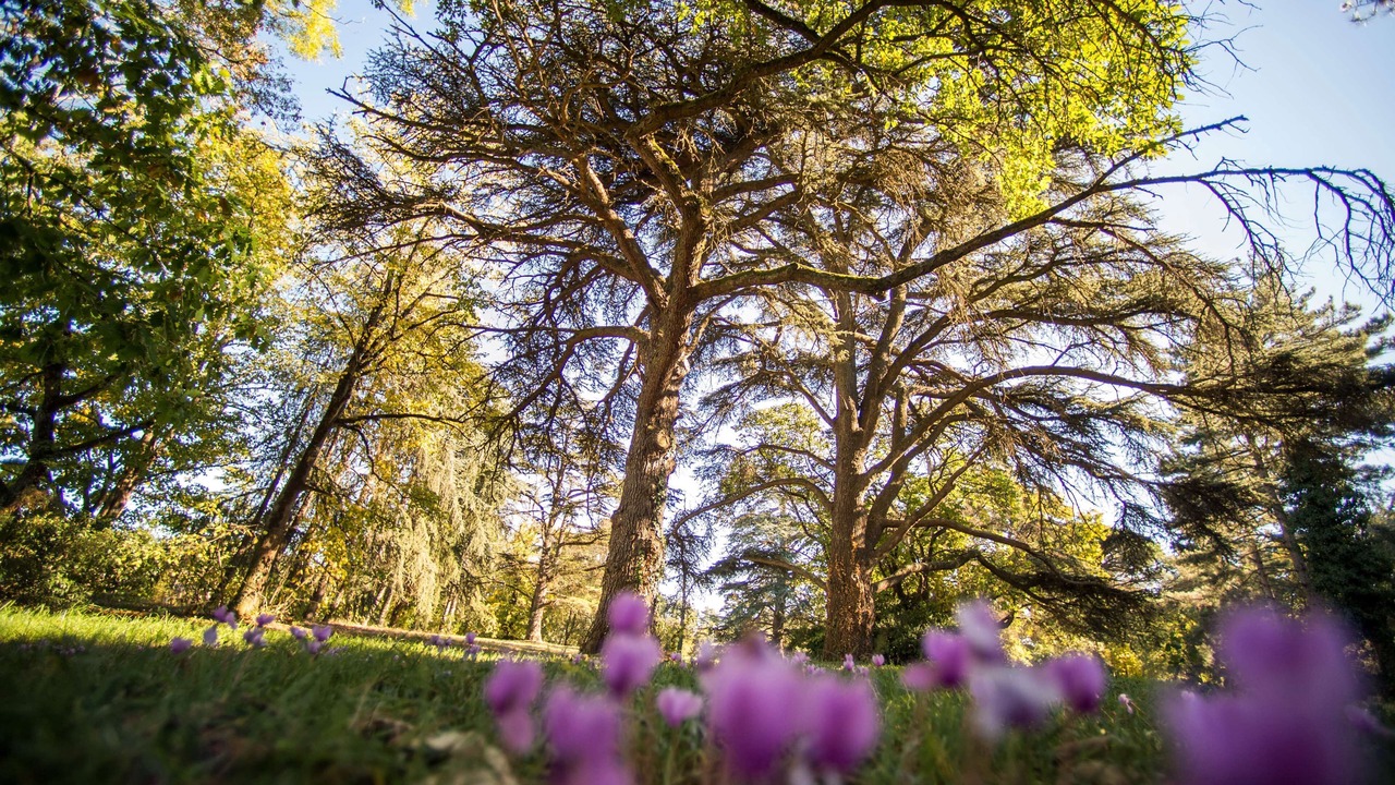 Photo of Outdoor in Toulouse South-East