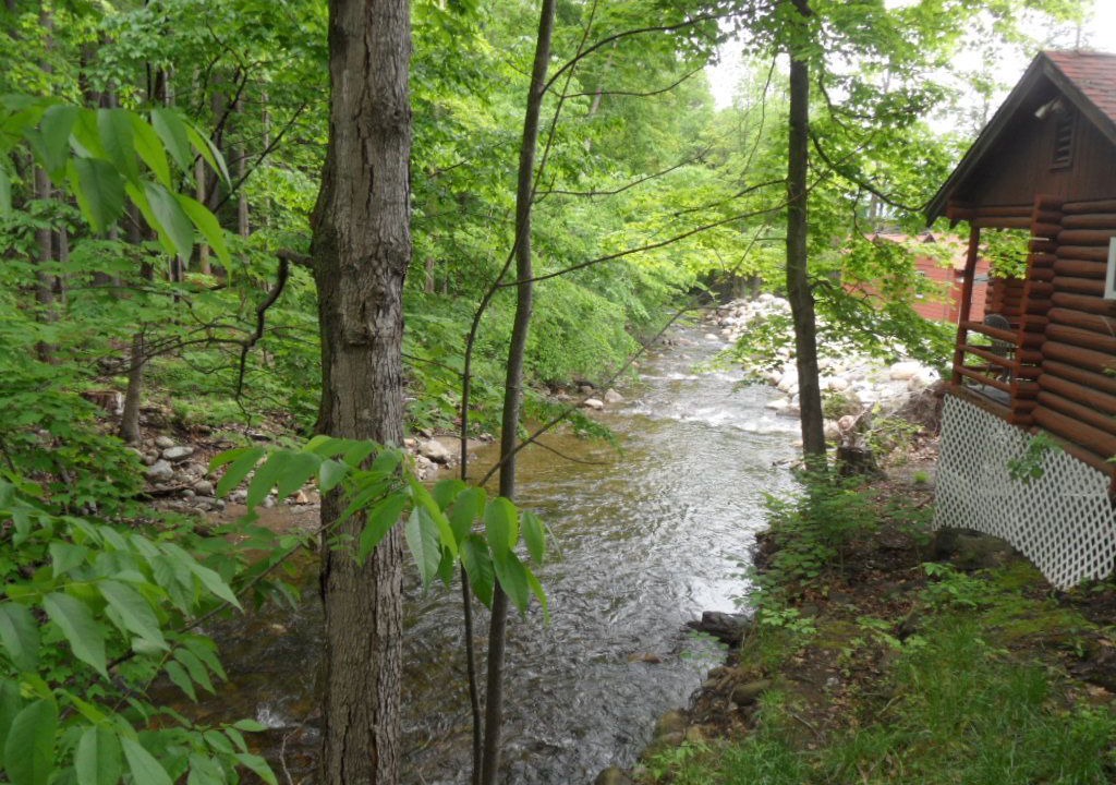 Photo of Others in Lake George