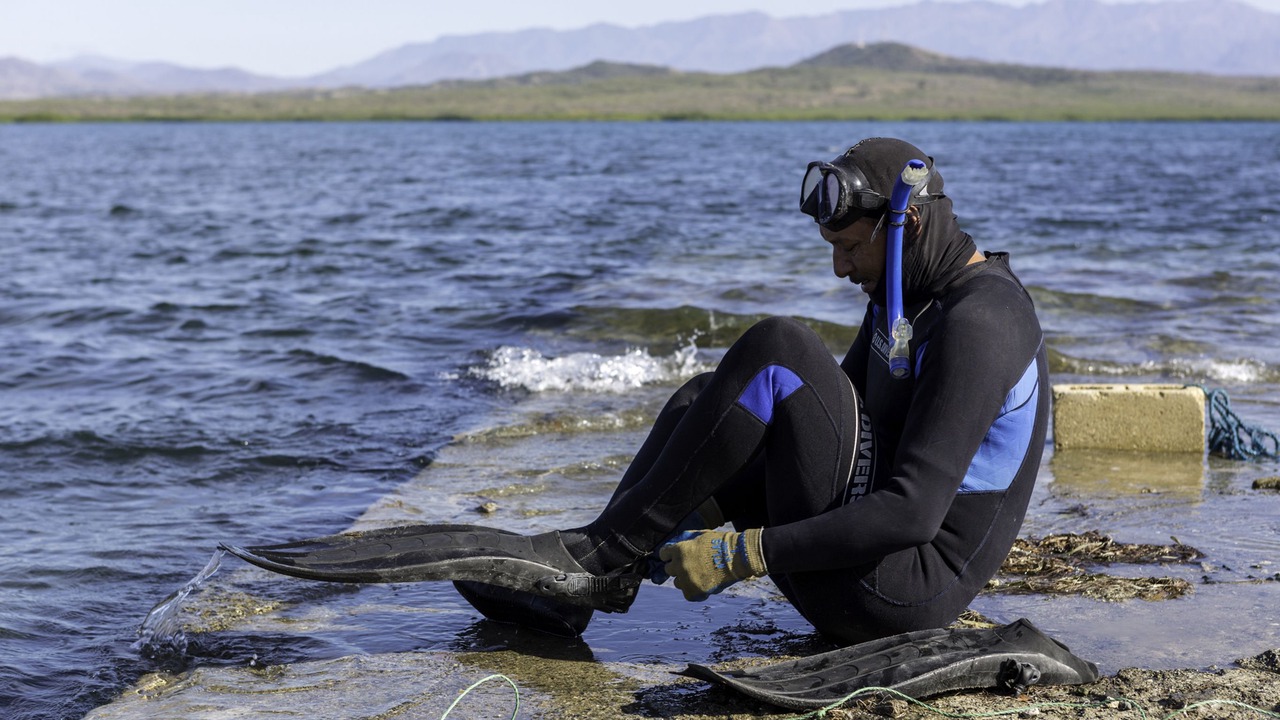 Photo of Others in Las Salinas