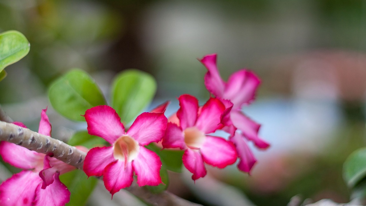 Photo of Others in Las Salinas