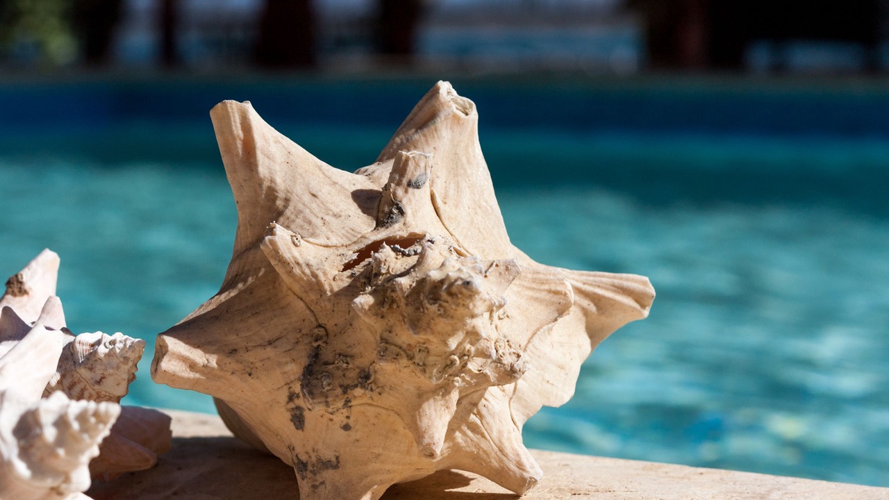 Photo of Outdoor in Las Salinas