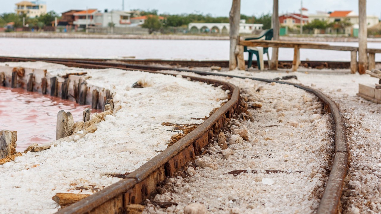 Photo of Outdoor in Las Salinas