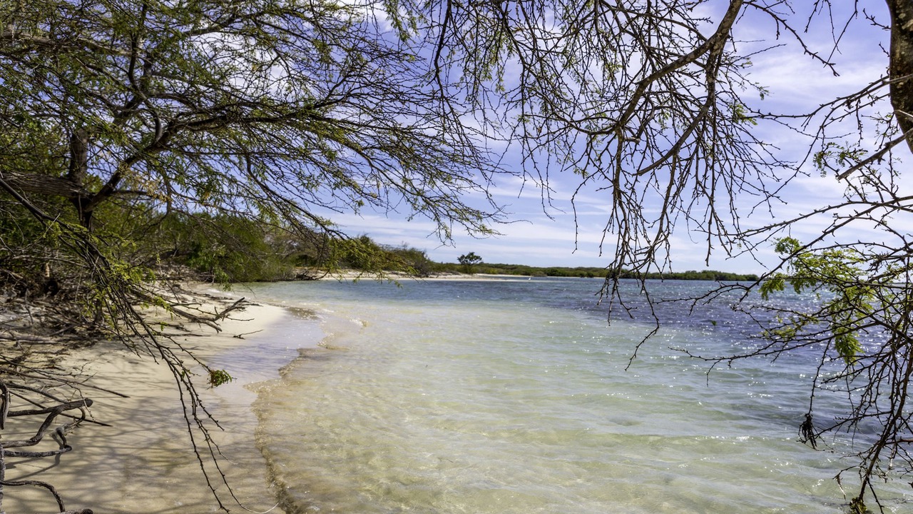 Photo of Others in Las Salinas