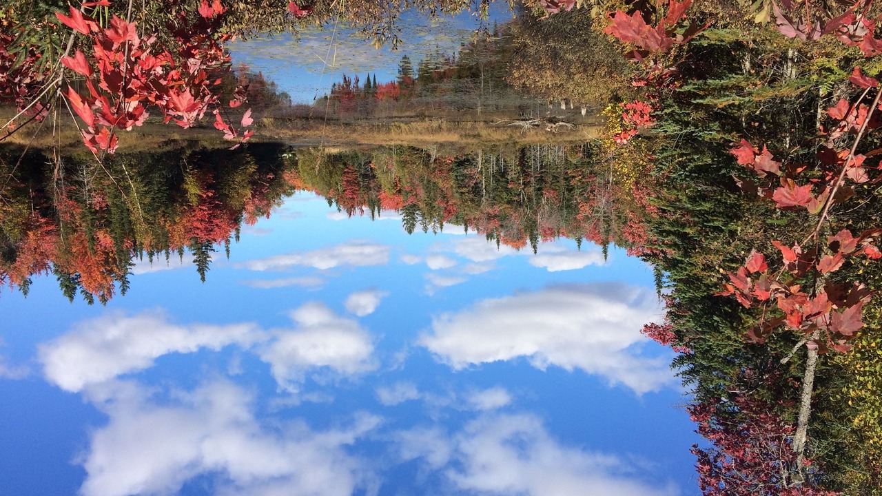 Photo of Outdoor in Sault Ste. Marie