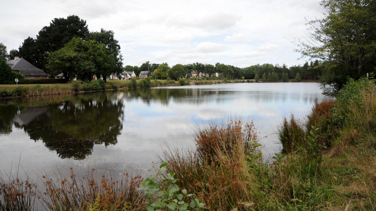 Photo of Outdoor in Cesson-Sevigne