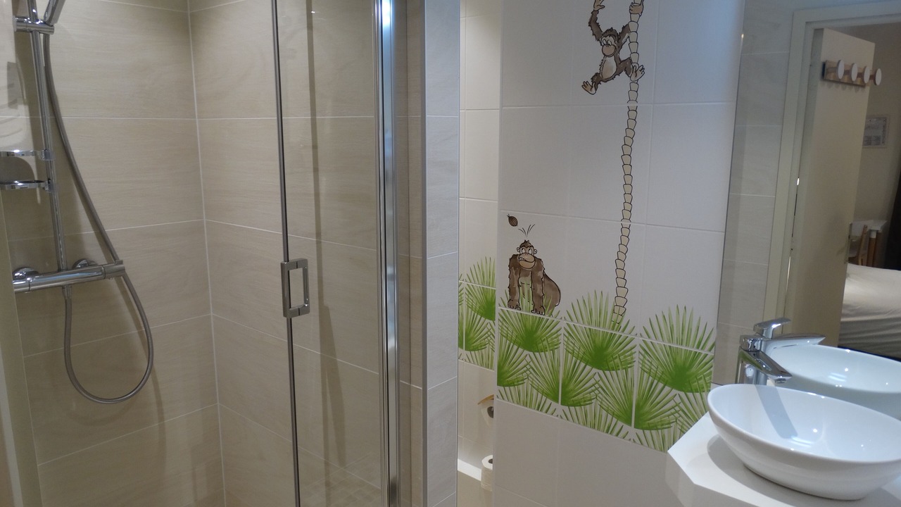 Photo of Bathroom in Tours