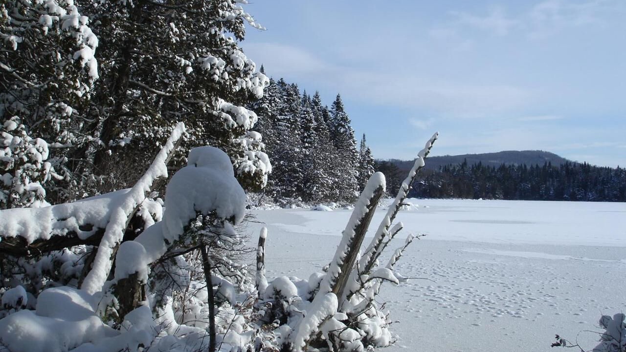Photo of Outdoor in Saint-Raymond