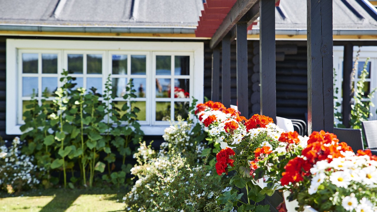 Photo of Outdoor in Skanderborg