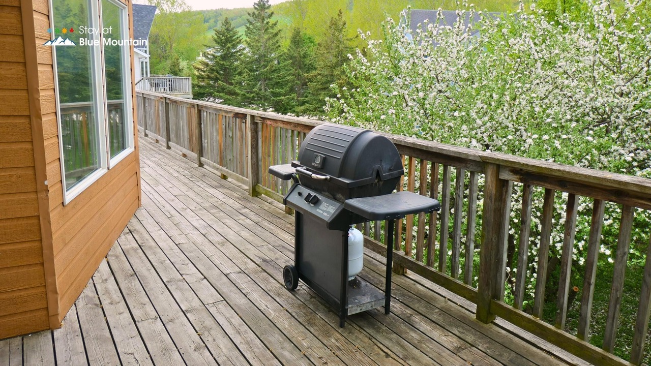 Photo of Outdoor in The Blue Mountains