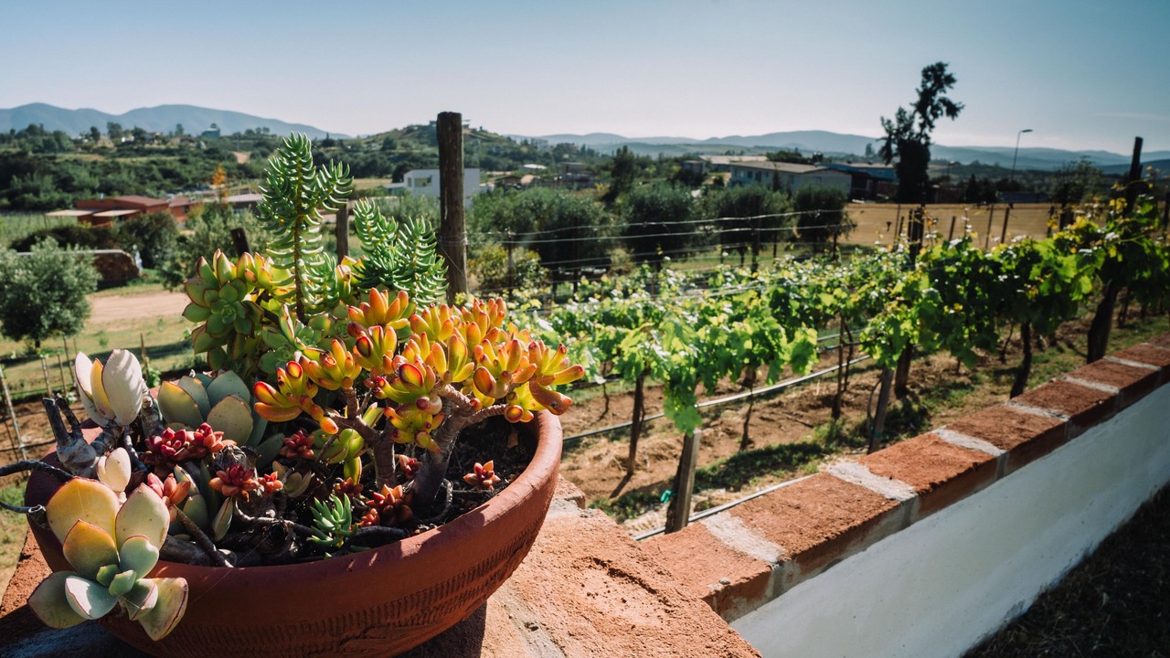 Photo of Patio Balcony in San Antonio de las Minas