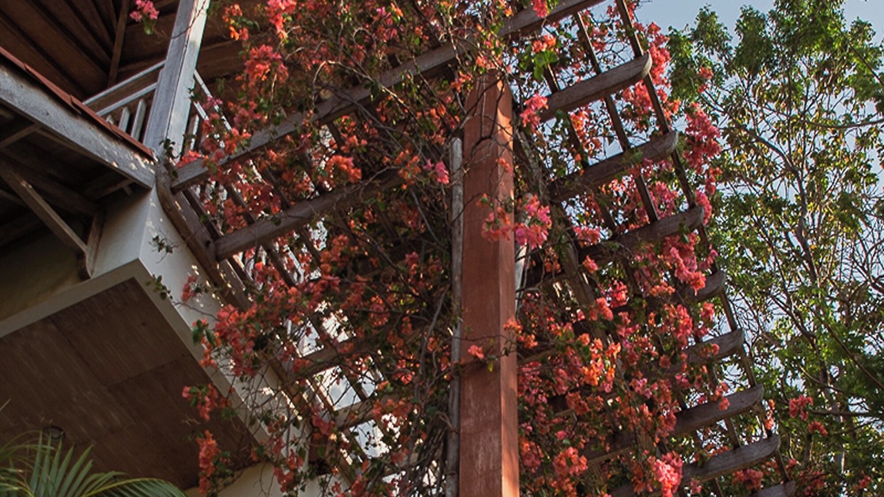 Photo of Outdoor in Kalipuro