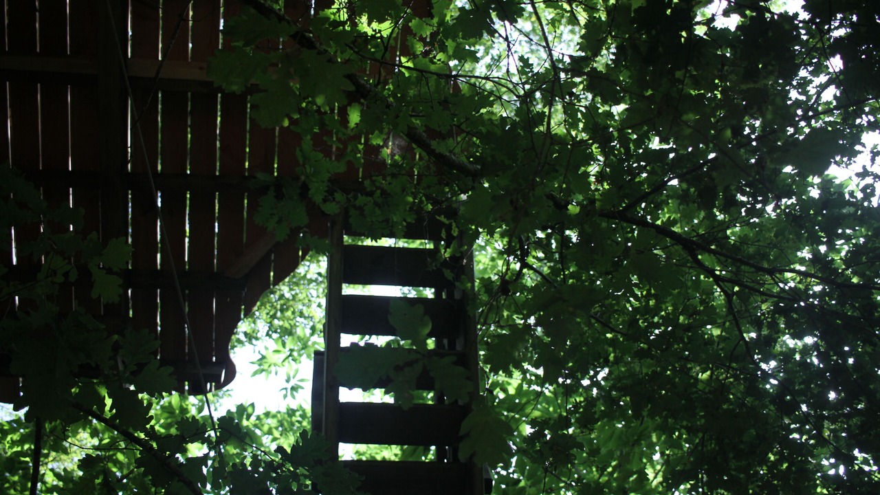 Photo of Outdoor in Lempzours