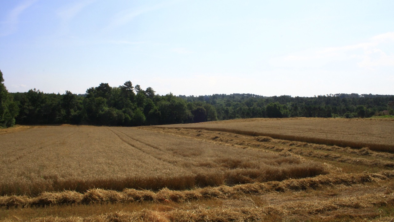 Photo of Outdoor in Lempzours