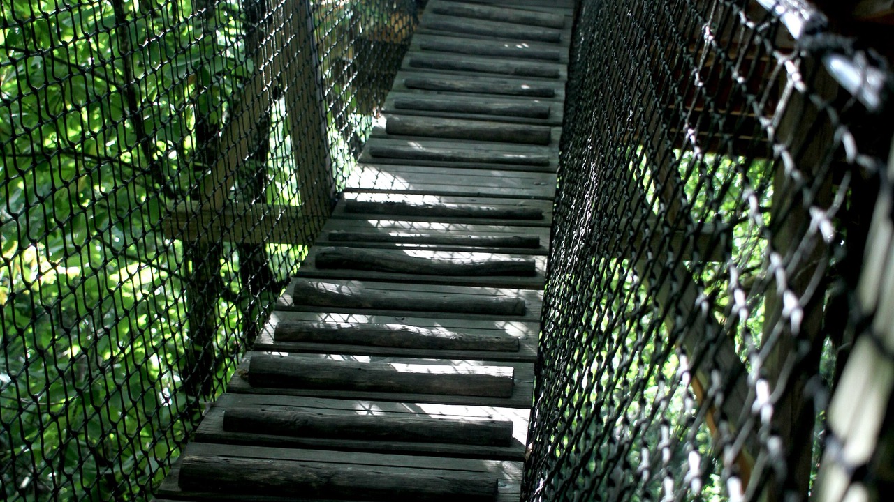 Photo of Outdoor in Lempzours