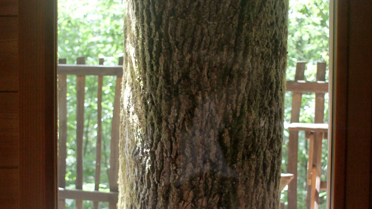 Photo of Others in Lempzours