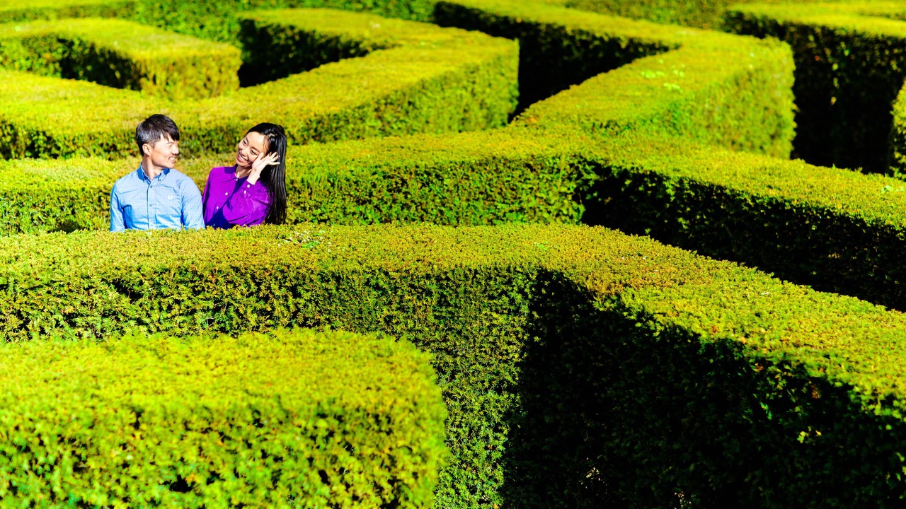 Photo of Others in Maidstone