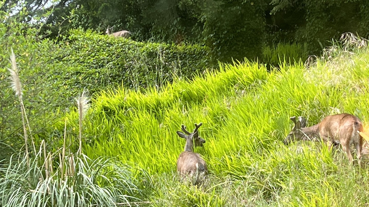 Photo of Outdoor in Harbor
