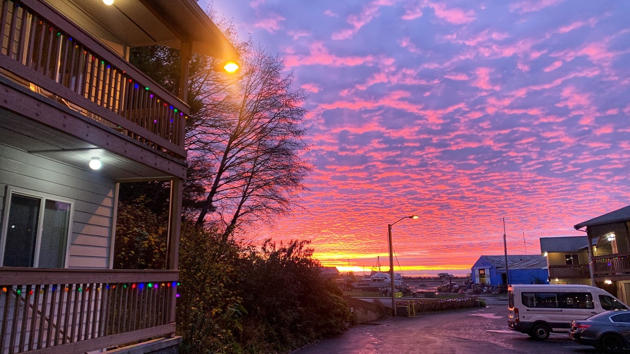 Photo of Outdoor in Harbor
