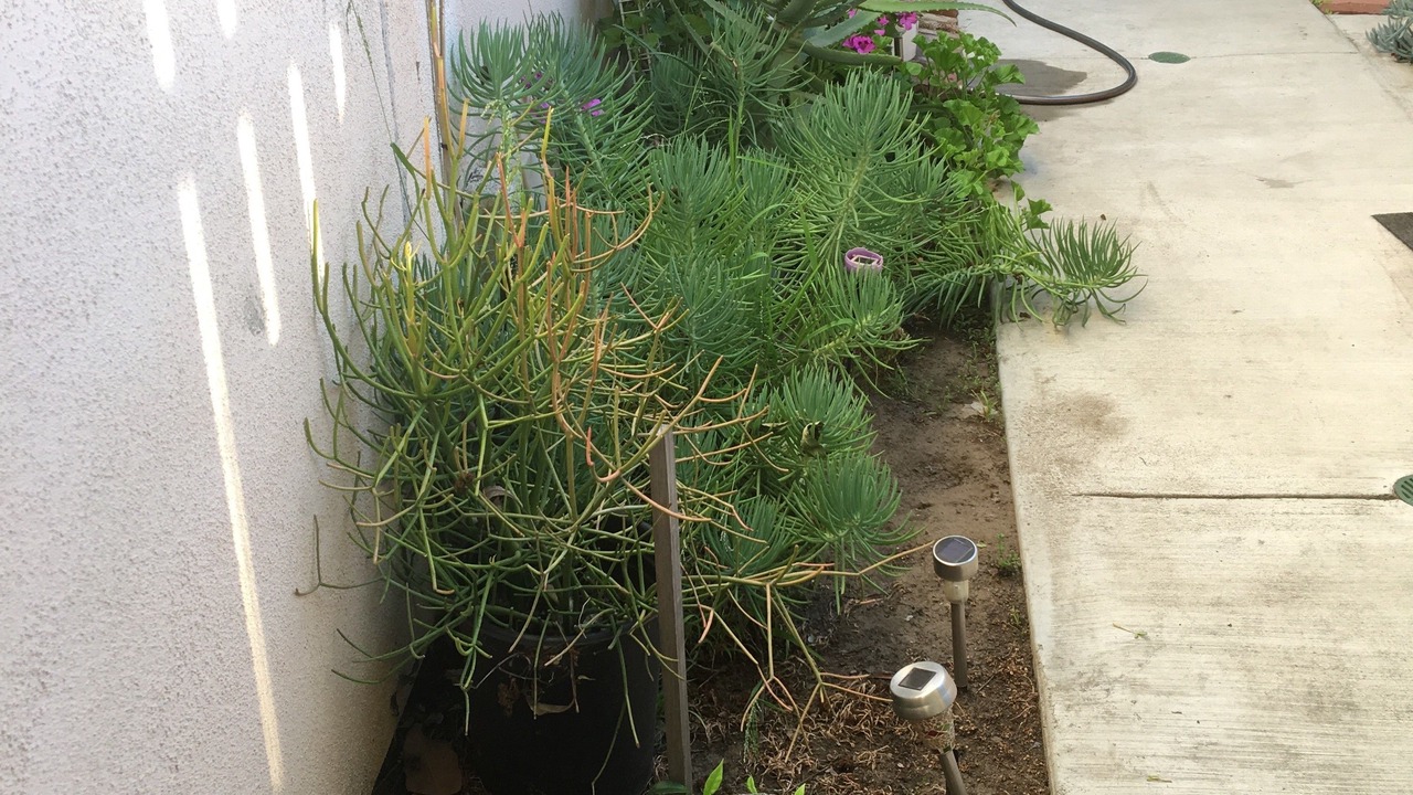 Photo of Outdoor in Valley Glen