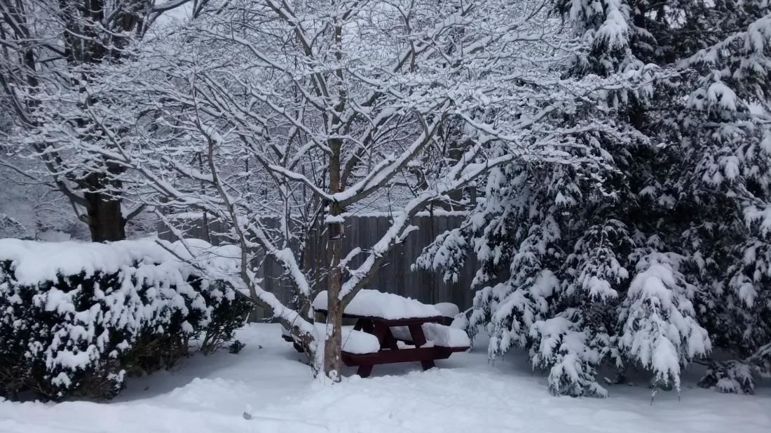 Photo of Outdoor in Madison