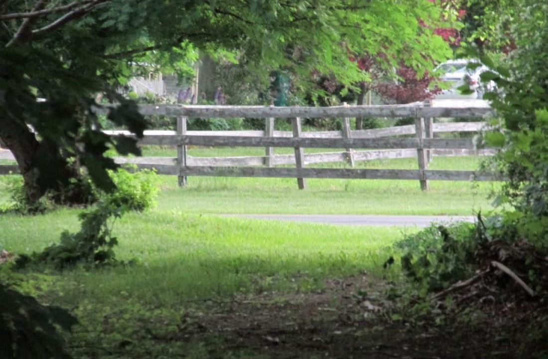 Photo of Outdoor in Madison