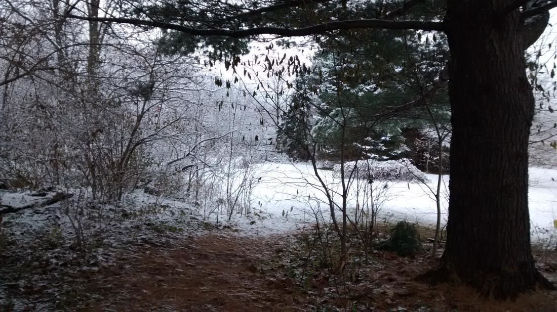 Photo of Outdoor in Madison