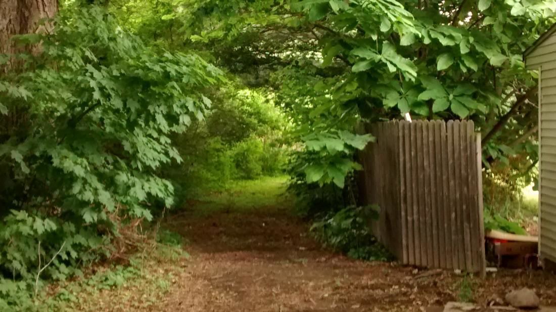 Photo of Outdoor in Madison