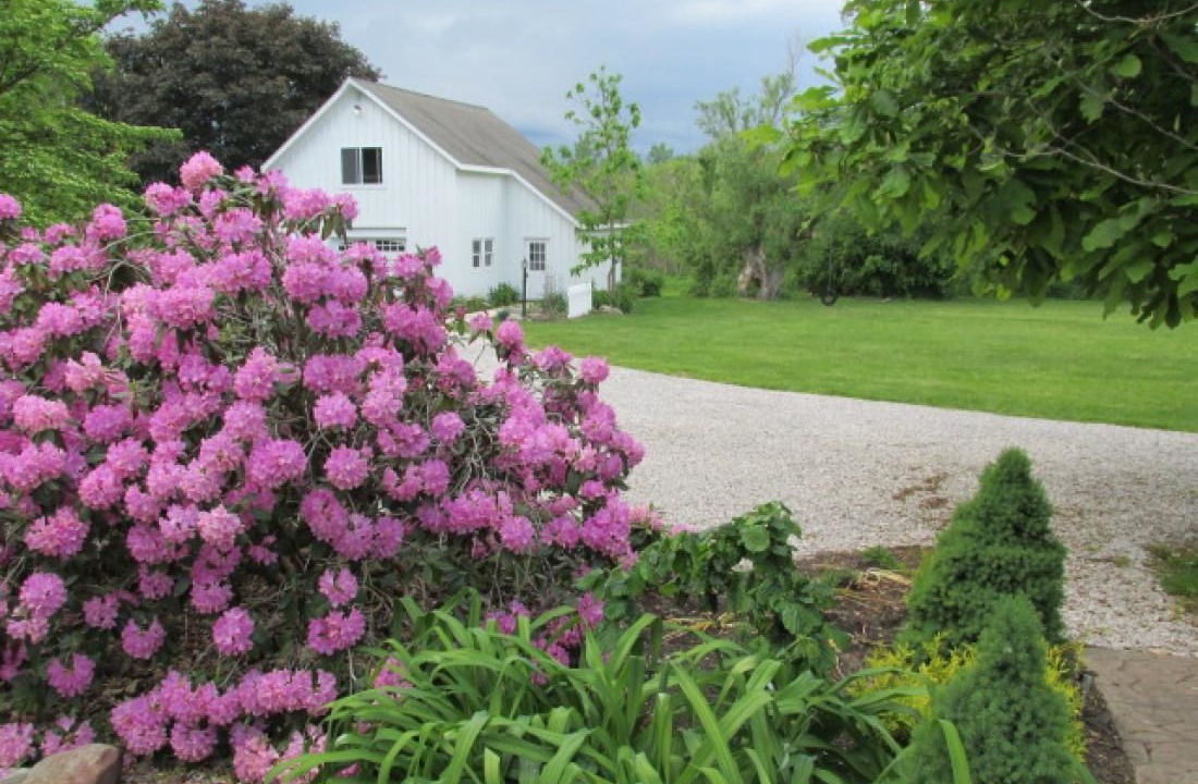 Photo of Outdoor in Madison