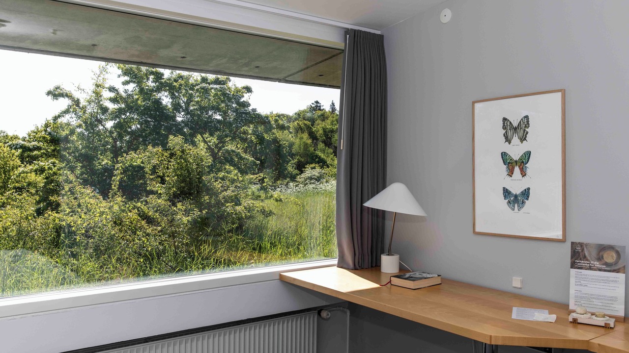 Photo of Others in Ebeltoft