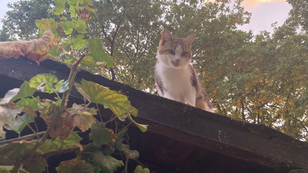 Photo of Outdoor in Soudan