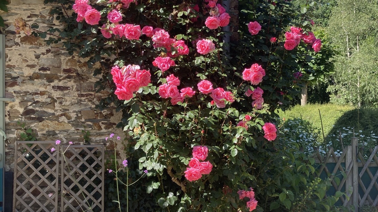 Photo of Outdoor in Soudan