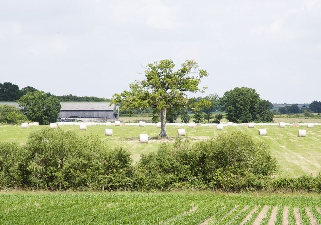 Photo of Outdoor in Soudan