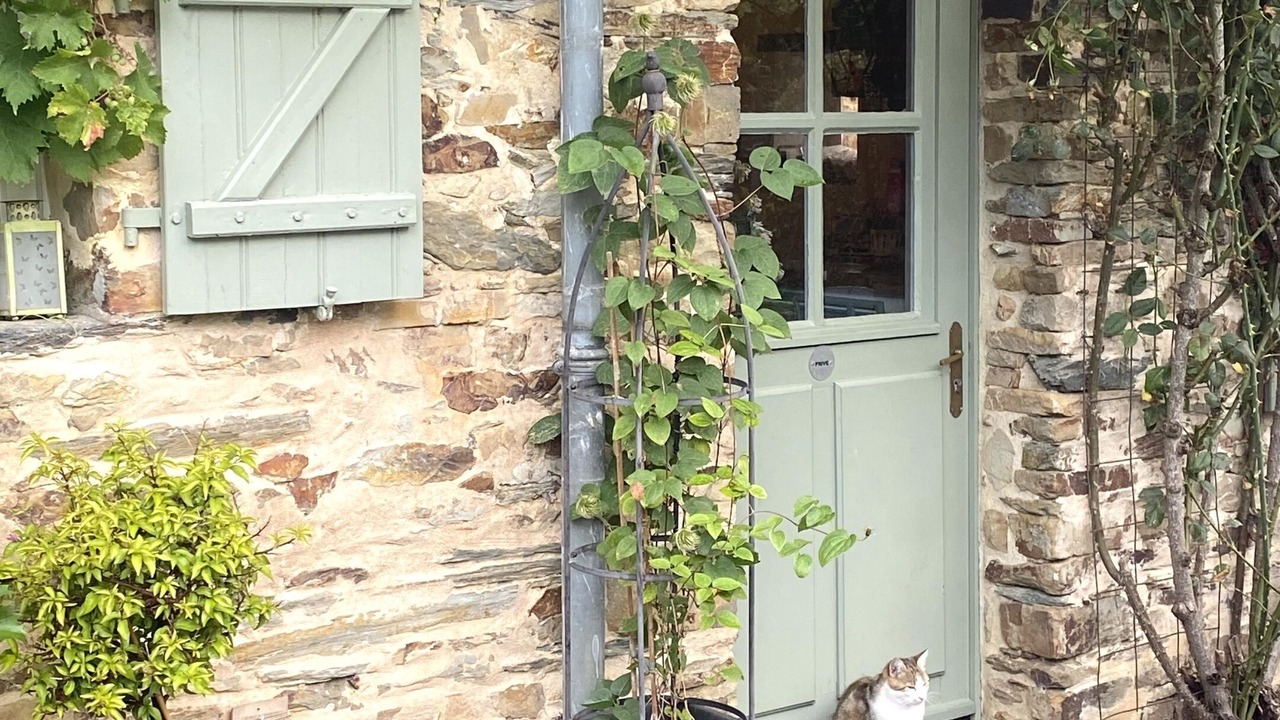 Photo of Others in Soudan