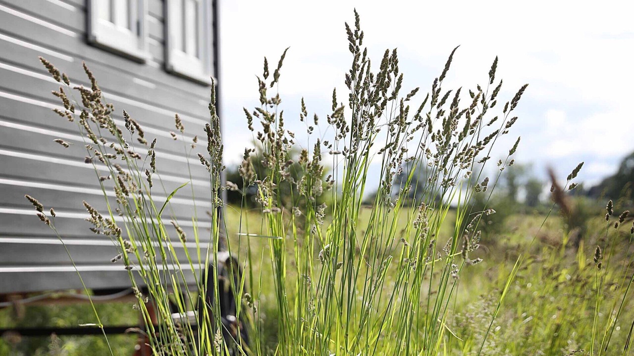 Photo of Outdoor in Old Bewick