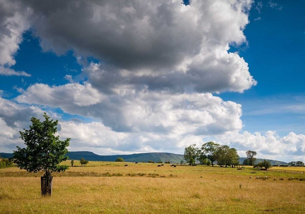 Photo of Others in Old Bewick