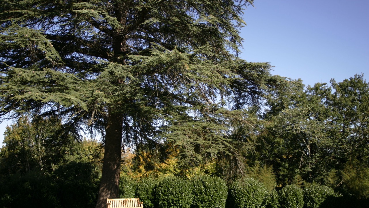 Photo of Others in Couze-et-Saint-Front