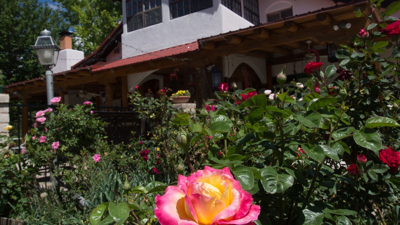 Photo of Outdoor in Albuquerque