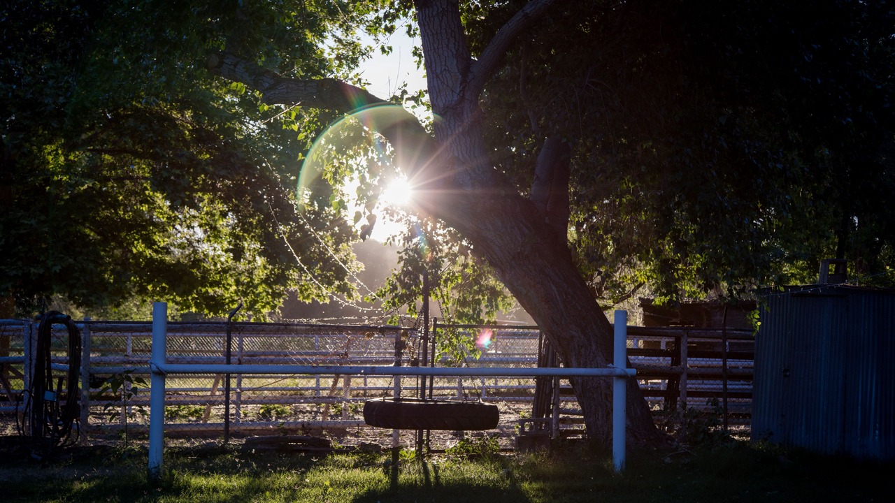 Photo of Outdoor in Albuquerque