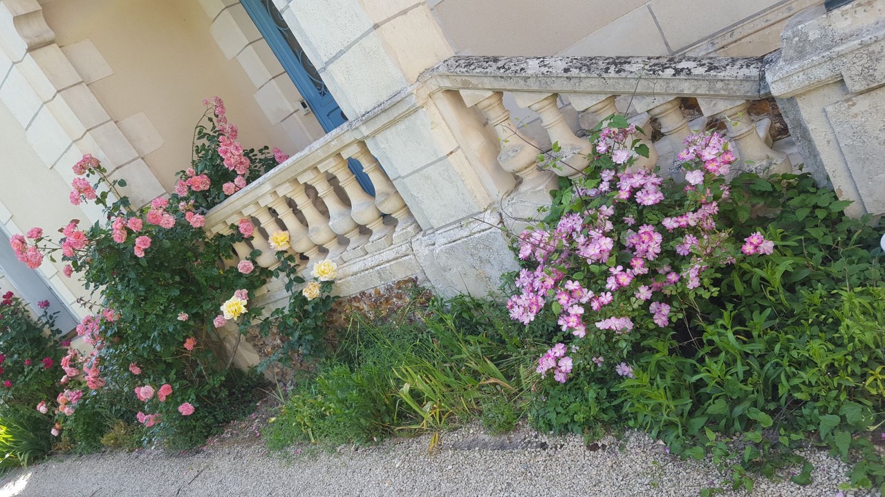 Photo of Outdoor in Neuville-de-Poitou