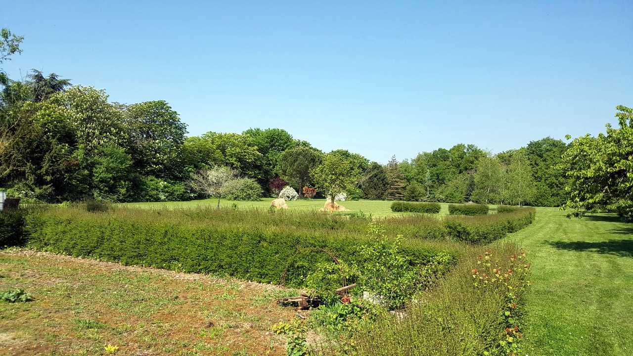 Photo of Outdoor in Neuville-de-Poitou